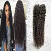 10"-26" Capelli umani Remy vergini brasiliani 100S Estensioni dei capelli ricci crespi Micro Loop Castani 100g Estensioni dei capelli ricci crespi Micro Link Umani