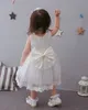 البيع بالتجزئة عيد الميلاد رضيع الفتيات Big Lace Princess Dressing Dresses Kids عيد ميلاد هدية الشهر معمودية الفستان هالوين COS3193413