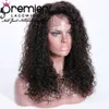 Premier Full Lace / Lace Front Human Hair Wig With Natural Hairline Pre-depened Indian Remy Hair 150% Density Loose Curly For American