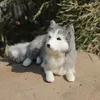 DorimyTrader simulação animal husky pelúcia brinquedo cão samoyed boneca polietileno peles artesanato decoração de casa dy80032