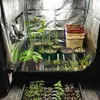 تنمو الأضواء العاكسة mylar تنمو غرفة النبات الأخضر مع نافذة الحافظة وصينية الأرضية لنباتات الزهور الداخلية تنمو