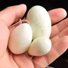 Natural Jade Massage Stones Yoni Egg Vaginal Balls Muscle Massage Ball Women Kegel Exerciser Drilled Tightening Vagina