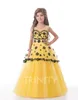 Bright Yellow Purple Tulle Applique Flower Girl Dresses Girls' Pageant Dresses Holidays/Birthday Dress/Skirt Custom Size 2-14 DF710350