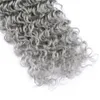 Grå hårvävningar brasilianska jungfruliga hårbuntar Sliver Gray Deep Wave Curly Hair Extension 3pcslot erbjudanden 8a grå vågiga buntar6201606