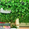 12 pz 2.1 M lungo Simulazione Ivy Rattan Viti rampicanti Foglia verde Seta artificiale Virginia Creeper Decorazione della parete Home Decor spedizione gratuita