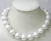 sea shell pearl halsband