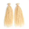 Blond brésilien crépus bouclés vierges armure de cheveux humains Bundles 200G 2PCS blonds brésiliens bouclés vierges armure de cheveux