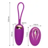 IKOKY 12 velocità uovo vibrante USB ricaricabile stimolatore clitorideo erotico telecomando wireless giocattoli impermeabili per donne S1018