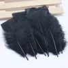 Natural Pheasant Feathers Chicken Feather Plume Diy Jewelry Campanula Dance Clothing Decorative Party Decoration Feather 20pcsSet8790328