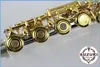 جديد الفنية عالية الجودة SUZUKI 16 ثقوب الناي أدوات المفتوحة الموسيقية Cupronickel مطلية بالذهب زر مع مفتاح E، القضية
