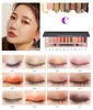 لوحات العيون الشهيرة 12Color Eyeshadow مع فرشاة مكياج لوحات ماكياج محترفة مجموعة مستحضرات التجميل