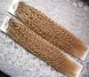 Brasilianska Kinky Curly Micro Loop Ring Länkar Mänskliga hårförlängningar Brun Blond Remy Hair 200g 1g / s Mikropärla Hårstycken