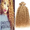 Honey Blonde Tissage de cheveux humains Couleur 27 Kinky Curly Peruvian Virgin Hair 3 Bundle Deals Afro Kinky Human Hair Bundles Fast Shiping