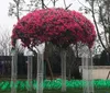 造花大きな桜46インチ/ 120 cm長いBougainvillea speetabilisは装飾的な結婚式の庭園とモールSF011に慣れることができます