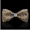 Новый галстук -галстук Crystal Bling Butterfly Узел для мужчин свадебный банкет -пир для вечеринки жених Shinning290s