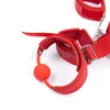 Bondage Wrist to Collar Handcuffs Ankle Cuffs Mouth Gag Neck Restraint Straps chain new #R56