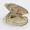 DIY de 6-8 mm de água doce akoya ostras pérolas com pérolas únicas mixadas 25 cores de alta qualidade círculo de pérolas naturais no pacote de vácuo para joias gif