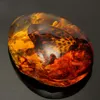 Kiwarm 54cm Beautiful Amber Butterfly насекомые каменное подвесное ожерелье Gemstone для Diy Jewellery Crafts6651864
