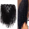 Moğol Afro Kinky Kıvırcık Saç İnsan Saç Uzatma Klip 7A Sınıf Afro Kinky Kıvırcık Örgü Demetleri