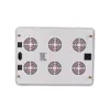 600W COB LED Grow Light Panel Volledig spectrum met 6 stks CREE CXB3590 3500K CD-bin 80 CRI-lamp voor indoor zaaitjesgroei bloeien