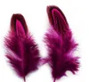 100pcs 6-10cm Pheasant Feather Tails Tail Feathers Fan For Craft Sewing Apparel Wedding Party Home Decoration