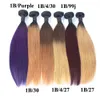 Ombre Virgin Hair Bundlesブラジルのボディーウェーブ人間の髪の毛織り2つのトーンの緯ご1b茶色の金髪赤い青の紫色のペルーの安いオムレの髪