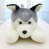 Mignon Animal Husky En Peluche Jouets Poupées Grand Dessin Animé Chiens Saint Valentin Cadeaux Décoration 39 pouces 100 cm DY50505