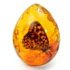 Kiwarm 54cm Beautiful Amber Butterfly насекомые каменное подвесное ожерелье Gemstone для Diy Jewellery Crafts6651864