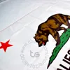 California Eyalet Bayrağı Odası Asma Dekorasyonu 3x5 FT90150cm Asılı Ulusal Bayrak Kaliforniya Ev Dekorasyon Bayrağı 9074949