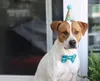 애완 동물 파티 모자 크라운 넥타이 넥타이 개 개 모자 파티 복장 강아지 고양이 의상을위한 헤드웨어 액세서리