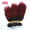 Brzailian Ombre Hair Extension Two Tone 1B99 Kinky Curly Burgundy Human Hair Weave 3バンドル全色ブラジルの赤い髪の毛9019447