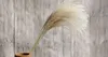 12inch-40inch Flower Bouquets Secados Natural Reed Reed Flowers Bulrush Flores Phragmites Flores para Casamento Party Table Centerpiece Decor