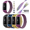 fitness bands loops