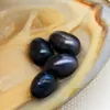 Natural Freshwater Pearl Oyster 6-8mm #6 Black Pearl in Triangle Oyster Vacuum Packaging Party Surprise Gift