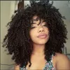 New Afro Kinky Curly Wig Africano Ameri Brazilian Hair Simulação Humano cabelo Afro Kinky Curly Natural Peruca em estoque