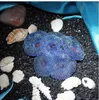 장식 수족관 인공 수지 산호 바다 식물 장식 실리콘 무독성 블루