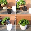 Eco-amigável planta auto-regata flor panela de parede pendurado plástico plantador casa jardim ferramentas plantas práticas flor panelas