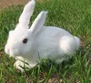 Söt realistisk kanin vit kanin plysch docka simulering djur kanin leksak päls plast hem dekoration 34 cm x 25 cm dy800366608317