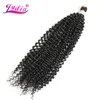 Lydia Bohemian Braids Hair Extension Curly Crochet Hair 14 "1PCS Pure Color Kanekalon Bulk Synthetic Braiding Afro Kinky