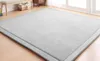 Large Chenille Carpet Coral Fleece Mat 120 200 2CM Tatami Table Manually Bedroom Carpet Rectangle Living Room Rug 2CM Thick238s