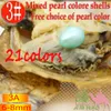 الجملة Akoya oysters pear teardrop oyster shell 6-8mm color freshwater natural term