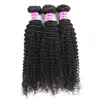 Fastyle Brasiliansk Virgin Human Hair Weave Bundlar Obehandlat Peruansk Kinky Curly Human Hair Remy Hair Extensions