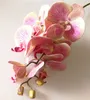진짜 접촉 난초 꽃 가짜 분홍색 Cymbidium PU 3D 식물 난초 Phalaenopsis 난초 인공적인 장식적인 꽃을 % s