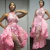 3D-Лепестки Цветочные Русалка платье с высоким горлом Overskirt кружева аппликация See Through платья партии моды африканских знаменитости вечернее платье