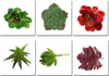 Искусственные растения с вазой бонсай тропический кактус поддельные сочные растения в горшке офис Главная декоративные цветочный горшок SN021