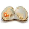 لؤلؤة Oyster Oyster الجديدة ، Pearl المحار هو 6-8mm3 نفس اللون # 2 (برتقالي) لؤلؤة المياه العذبة الطبيعية ، بقعة بالجملة (شحن مجاني)