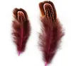 100 stks 6-10 cm fazant veer staarten staart veren fan voor ambachtelijke naaigarel bruiloft huisdecoratie