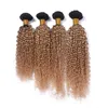 Kinky Curly # 1B / 27 Honey Blonde Ombre Brazylijski Human Hair Extensions 4 sztuk Lot Light Brown Ombre Virgin Human Hair Bundles Oferty