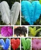 wholesale 16 ostrich feathers