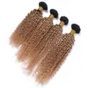 Kinky Curly # 1B / 27 Honey Blonde Ombre Estensioni del tessuto dei capelli umani brasiliani 4 pezzi / lotto Ombre marrone chiaro Fasci di capelli umani vergini Offerte